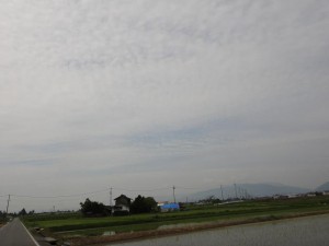 DSC02516