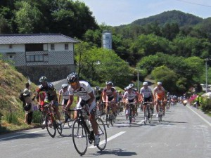 IMG_1031 H2 IMG_1031 H2